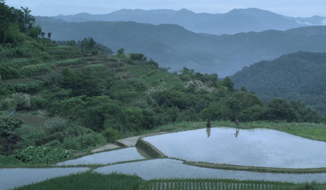 雪中悍刀行收视不佳三大短板,雪中悍刀行开播朋友圈吐槽