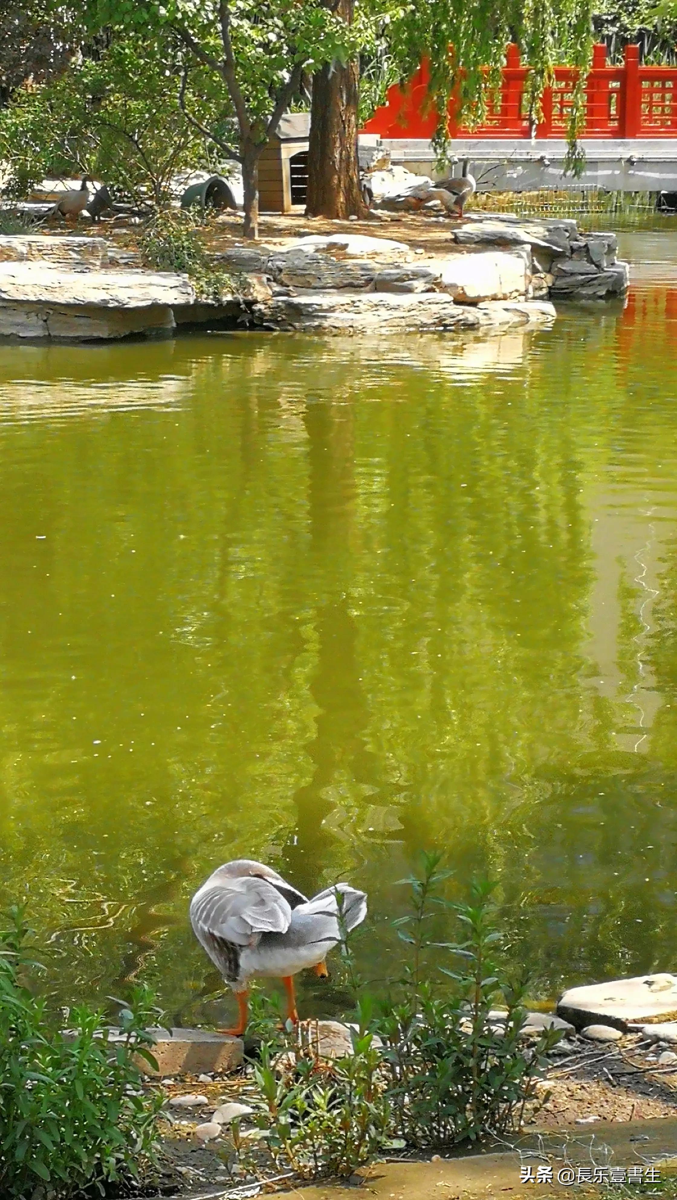 中国园林博物馆游览时间表,小众游玩强烈推荐北京园林博物馆