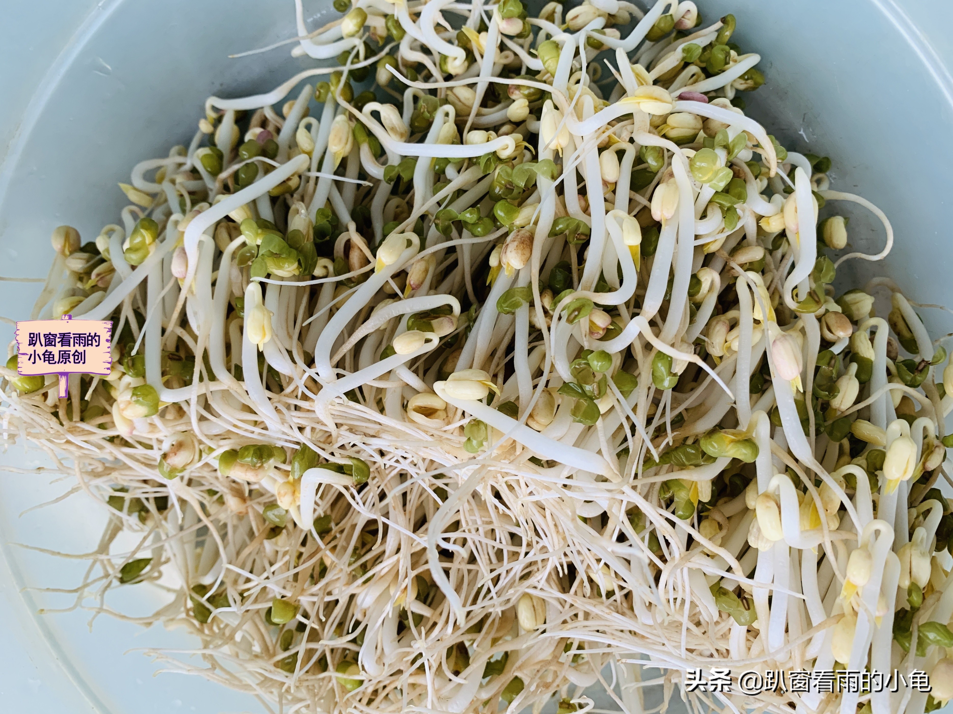 家有余粮，遇事不慌！收好10种生活必要的物资，这3件事也做起来