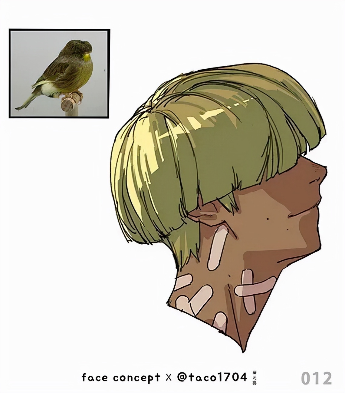 这组拟人头像作品脑洞太大了！就是那位硬核人体教程的画师