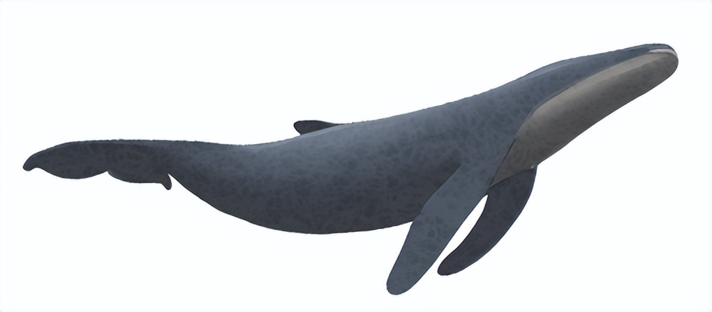 家具电商生存现状,一个良心家具商的电商之路