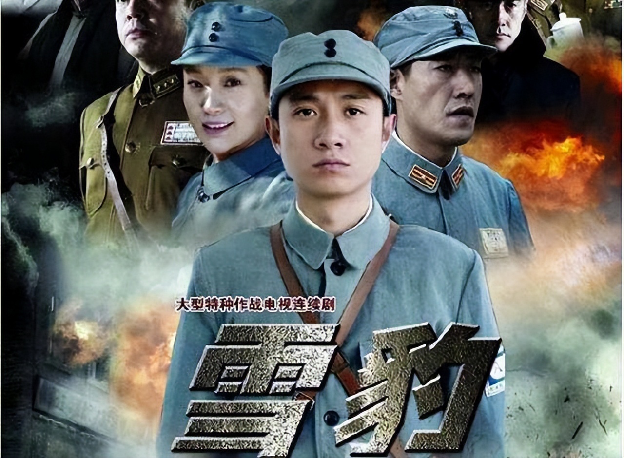 向着胜利前进抗日战争电视剧,双枪女侠抗日战争电视剧大全