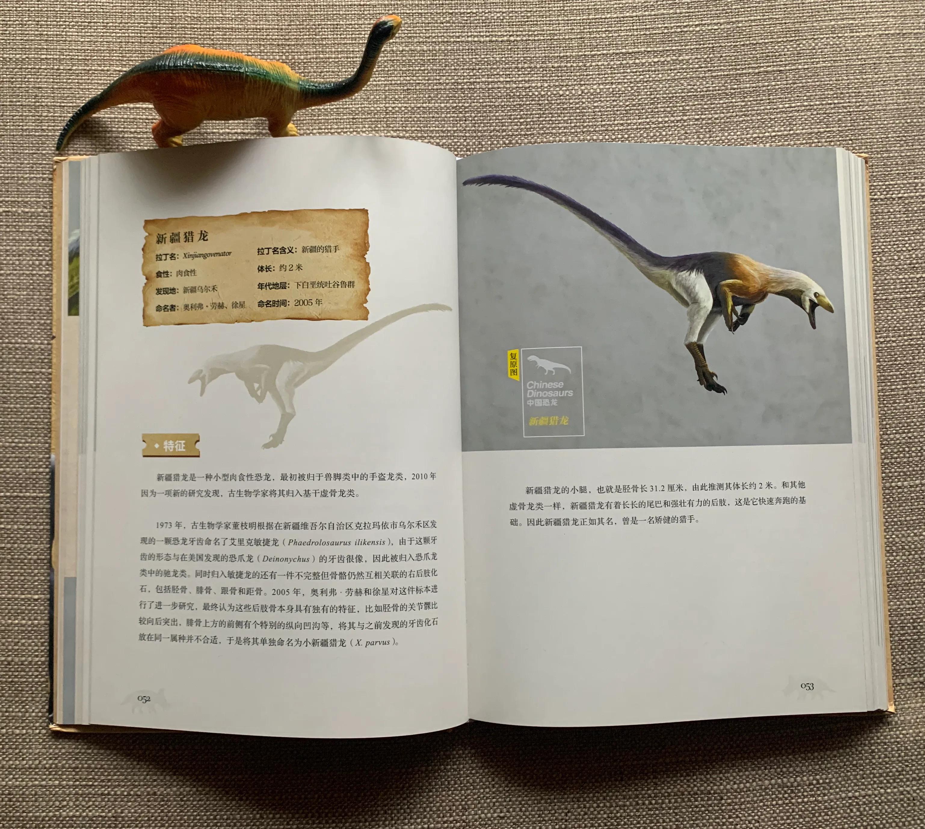 恐龙书单,恐龙的书单