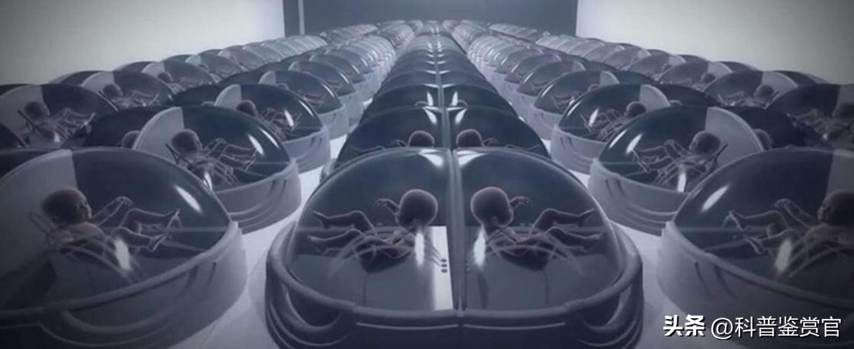 现在人类可以造出人工子宫吗,人造子宫到2025年会不会投入使用