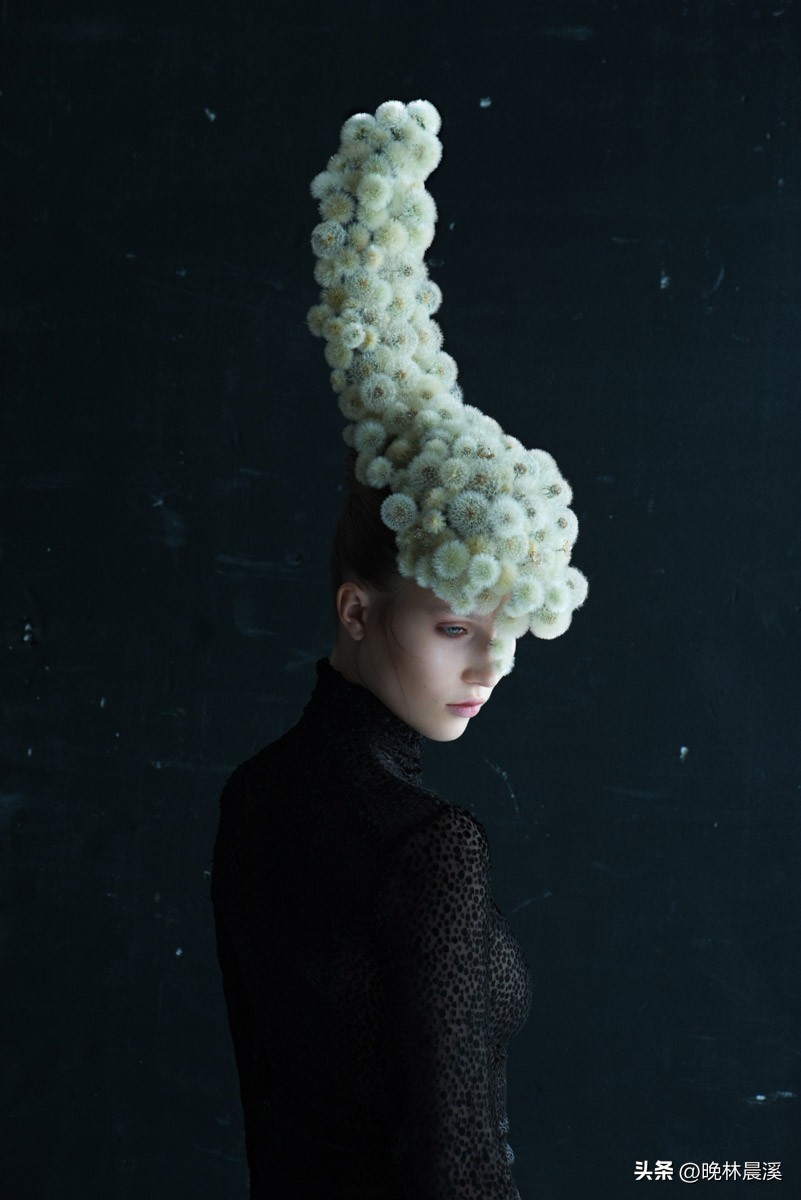 蒲公英与dandelion的区别,蒲公英摄影包选22升和25升对比