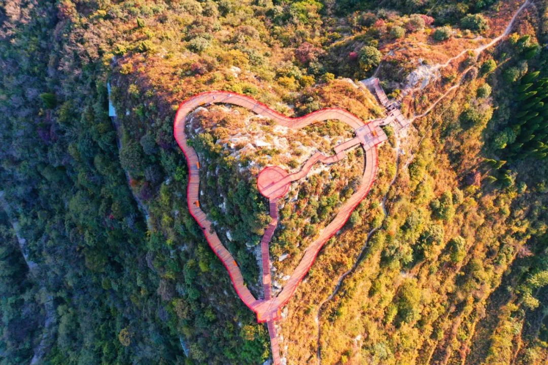 身份证号3703开头是哪里,身份证3703开头是哪里