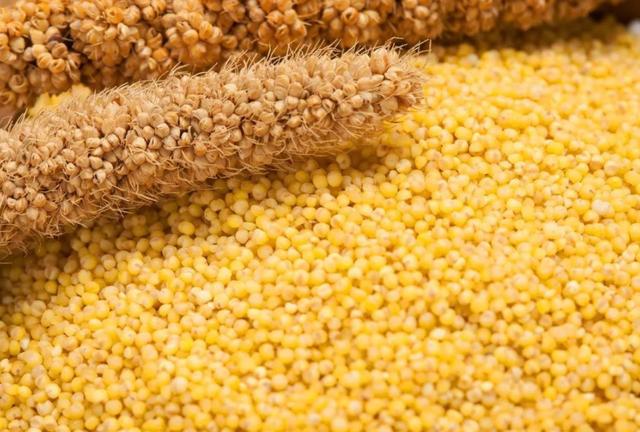 尿蛋白高是什么原因造成的肾病,糖尿病肾病如何降低尿蛋白的水平