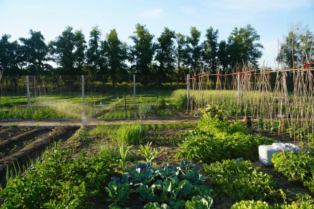 小毛驴农场,小毛驴农业园