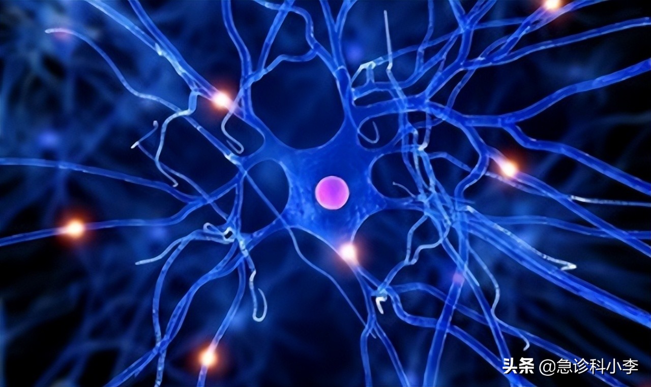 维生素b1和维生素b6能治失眠吗,维生素d维生素k导致失眠