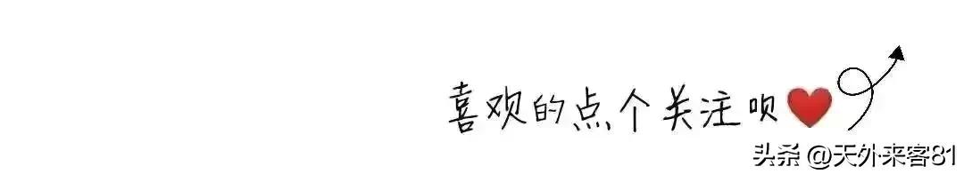 每日一动物：羊驼「yángtuó」