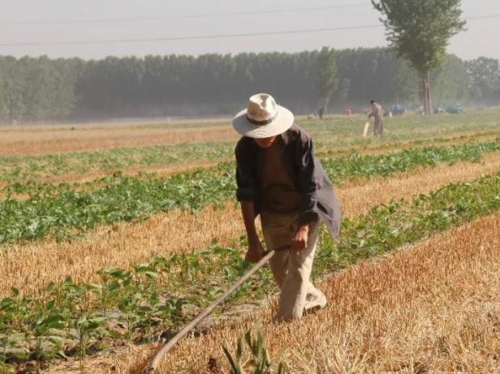 山东口罩老板一个月赚92亿,山东口罩厂老板一个月赚95亿