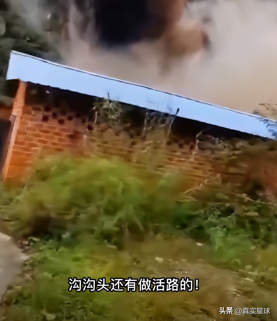 四川泸定6.8级地震伤亡点评,四川泸定6.8级地震伤亡新闻