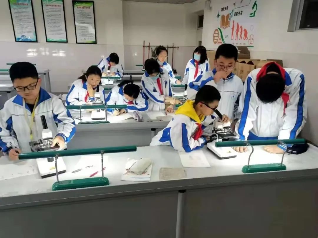 成都市金牛区成都七中八一学校,成都金牛区七中八一高中