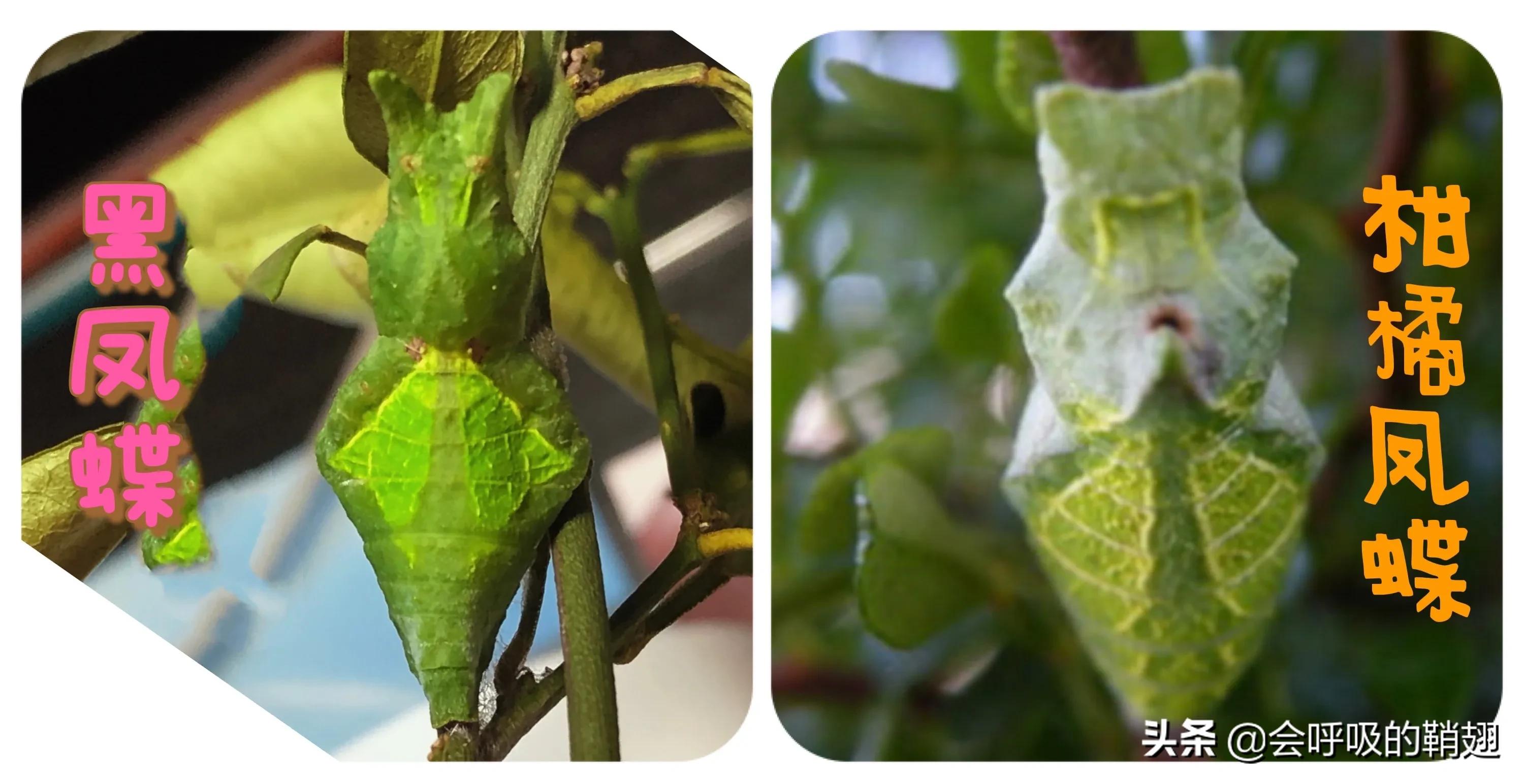 5个月的等待,经过5个多月的漫长等待