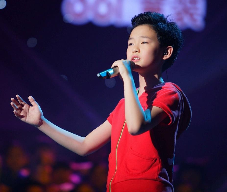 参加韩国sm海外练习生选秀,金色大厅维也纳成员