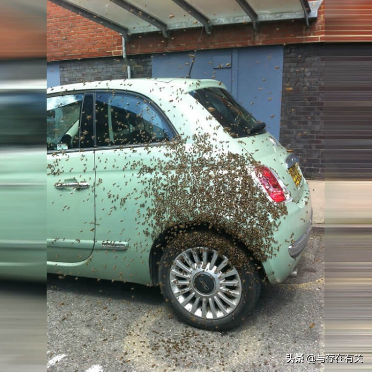 20个最令人崩溃的瞬间,100个让你崩溃的瞬间