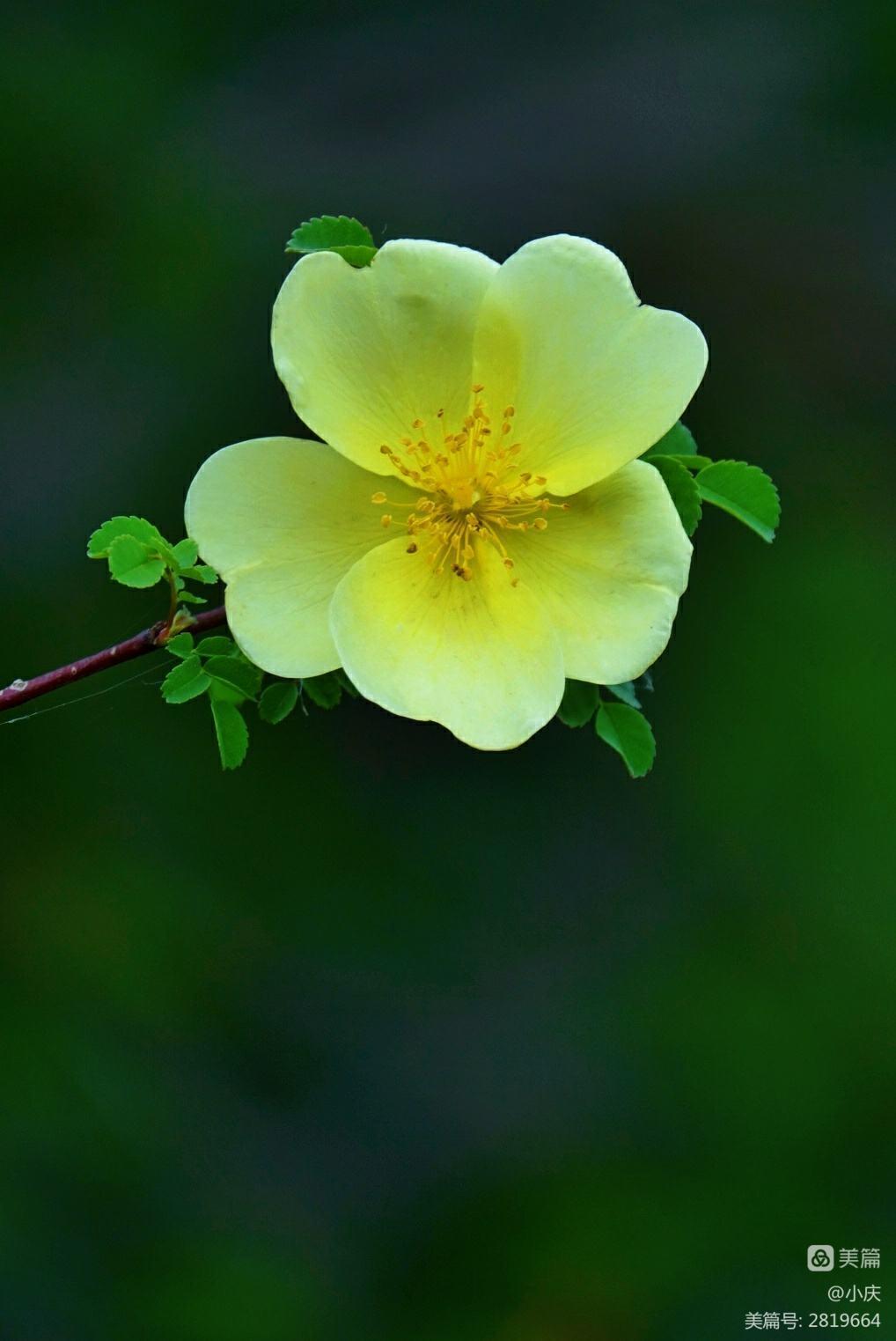 浮生若梦余生不长善待自己,浮生若梦愿你的余生不被辜负