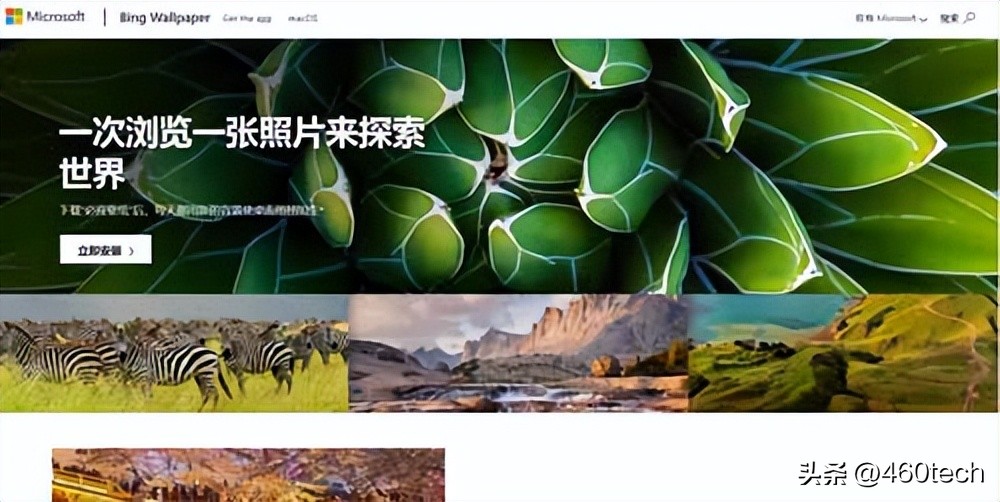 坦克世界壁纸超清4k电脑壁纸,哆啦a梦高清壁纸电脑桌面壁纸