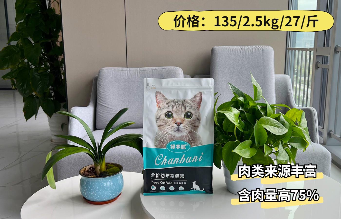 家猫怎样选才是好猫,如何挑选一只性格好长得好看的猫