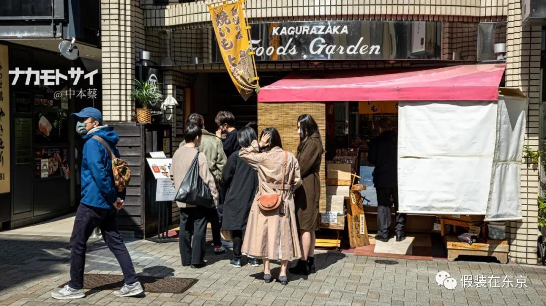 365张照片回顾,365张相片