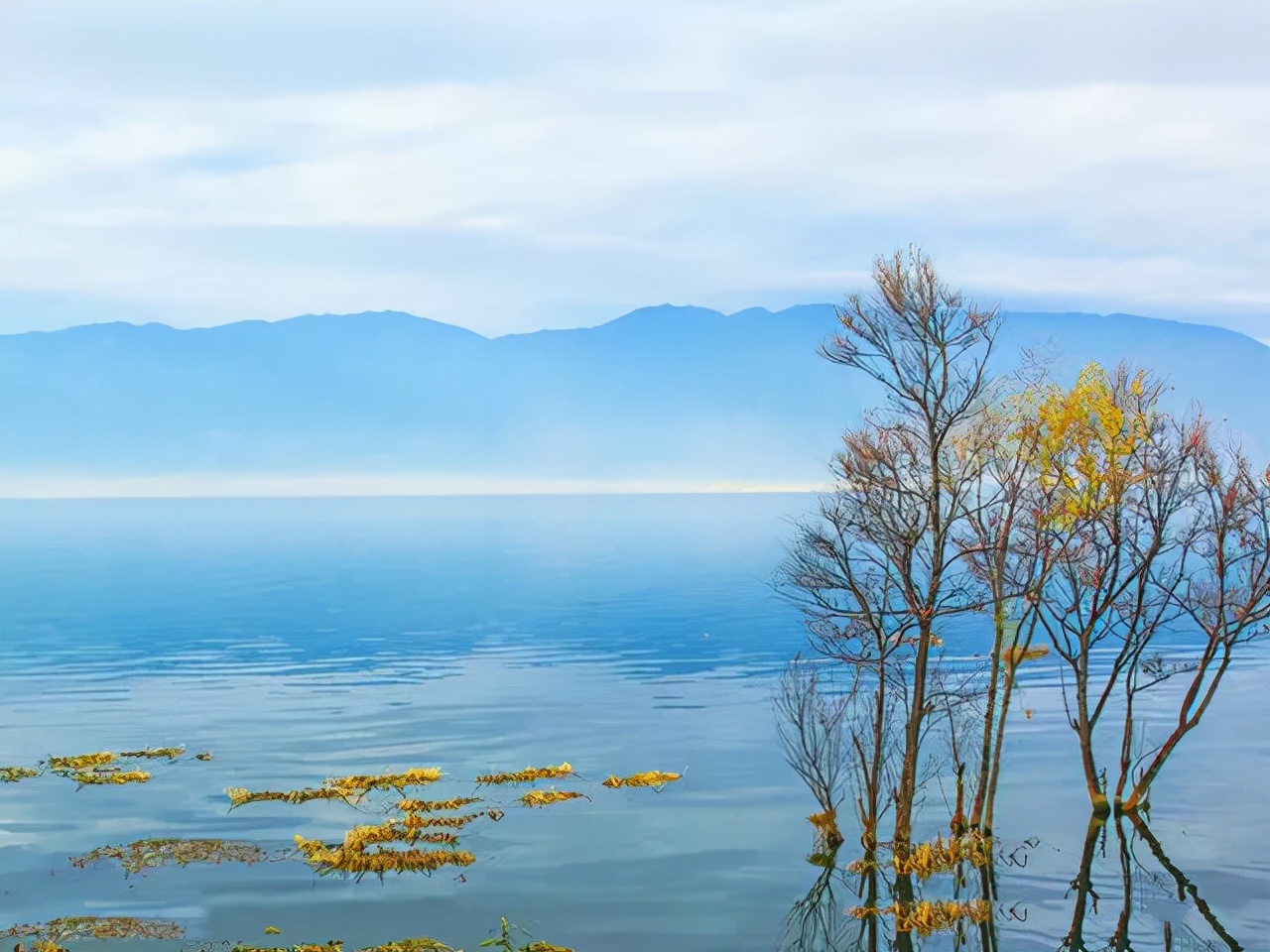 淡季大理堪称人间理想,大理的旺季真实体验