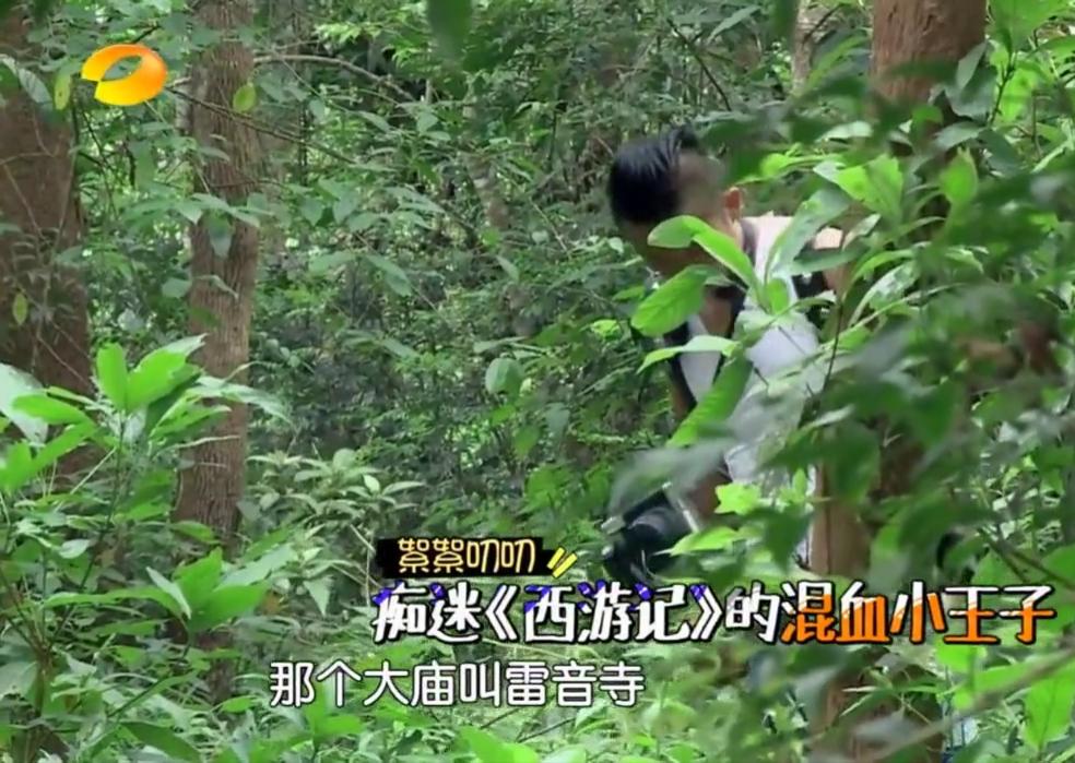 刘烨儿子诺一合集,刘烨发文为儿子诺一庆生完整版