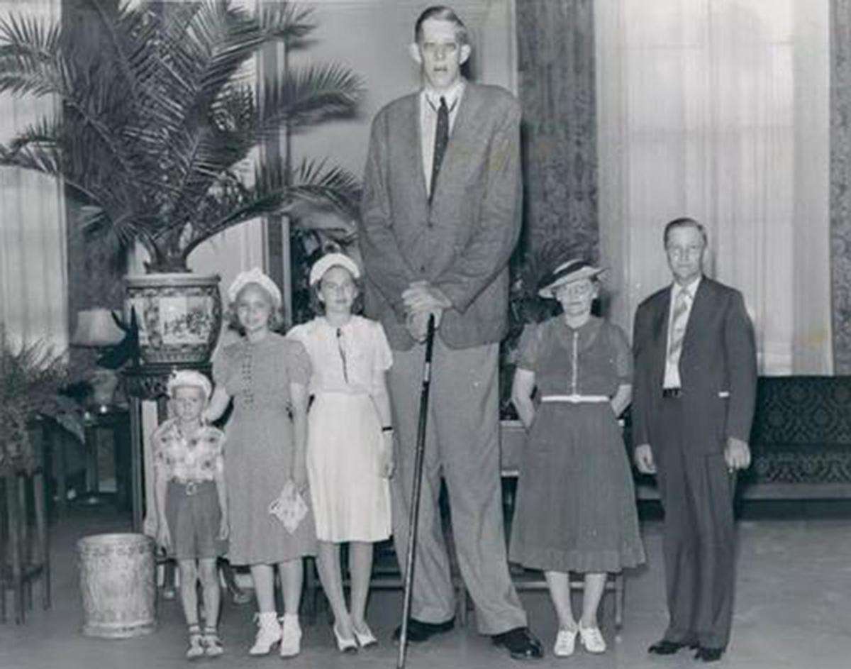 世界上最壮的牛照片,世界最壮的牛图片