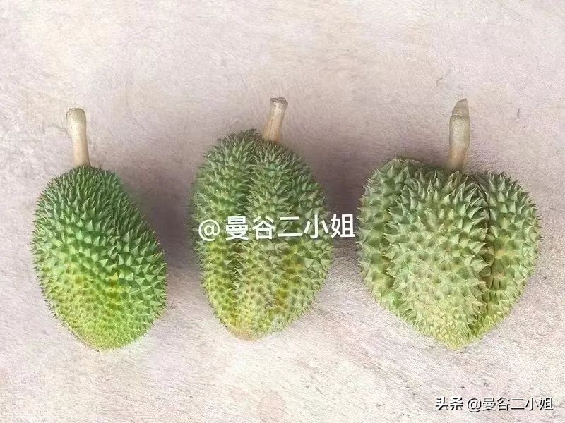 中国人在泰国种植100亩榴莲,泰国老果树榴莲