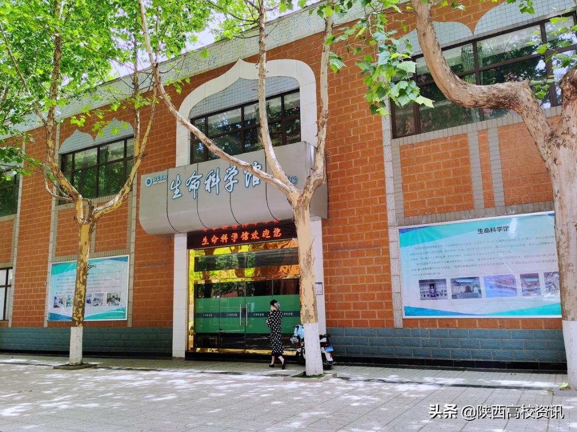 我承认我酸了,我承认我酸了合集