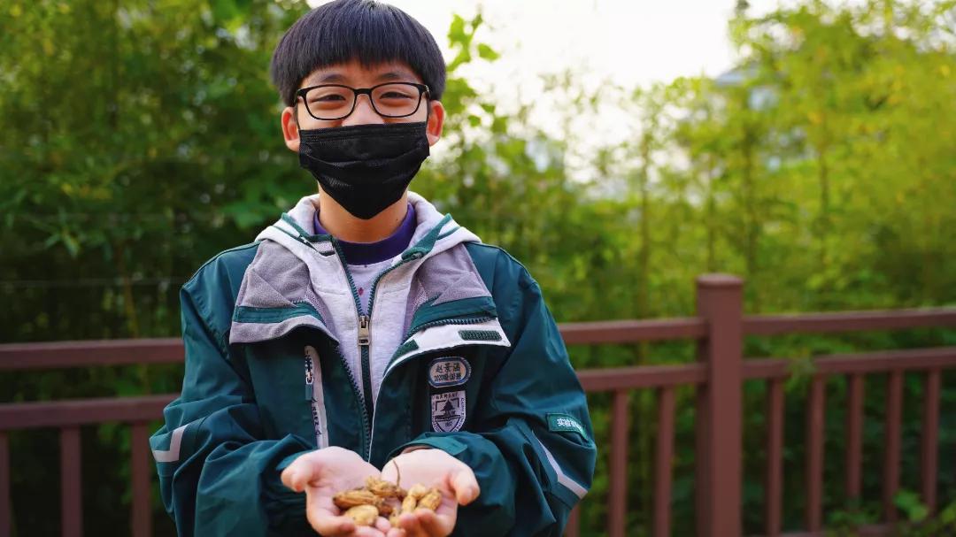 南京师范大学附属中学实验初级中学——“双减”下学生社团超火爆