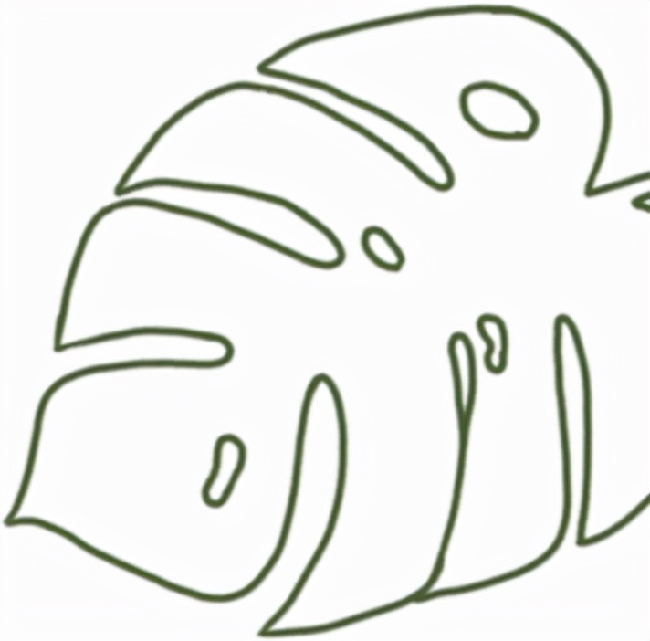 揭秘纯露的真面目,怎么判断纯露是不是纯正的