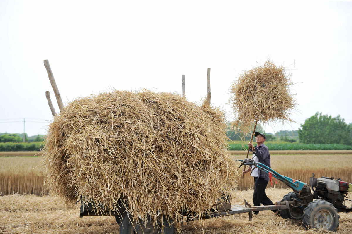 农村的热门致富项目,农村致富商机100例