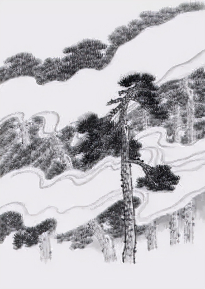 松树复杂画法,松树的十种画法