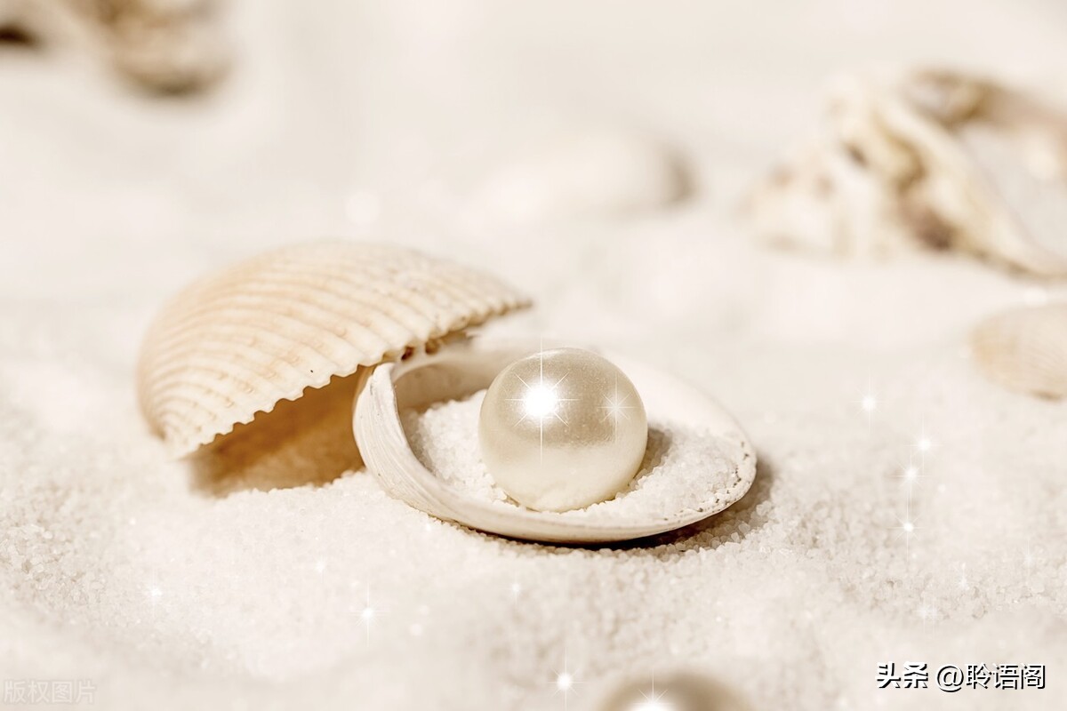 小故事大道理及感悟,受益匪浅小故事大道理