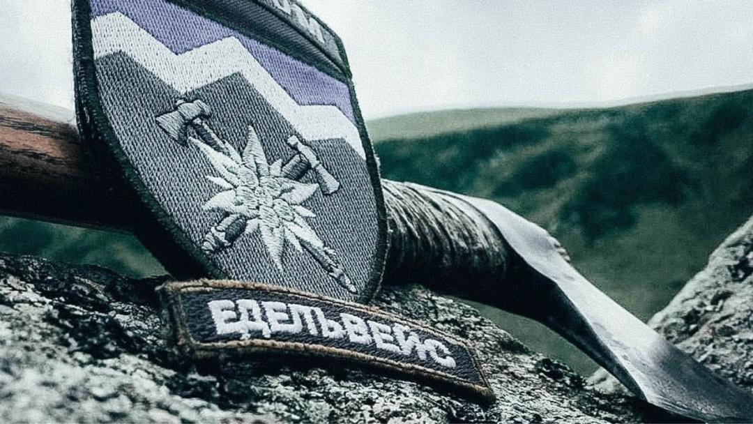 乌军主力还剩多少,乌军大反攻有多少兵力