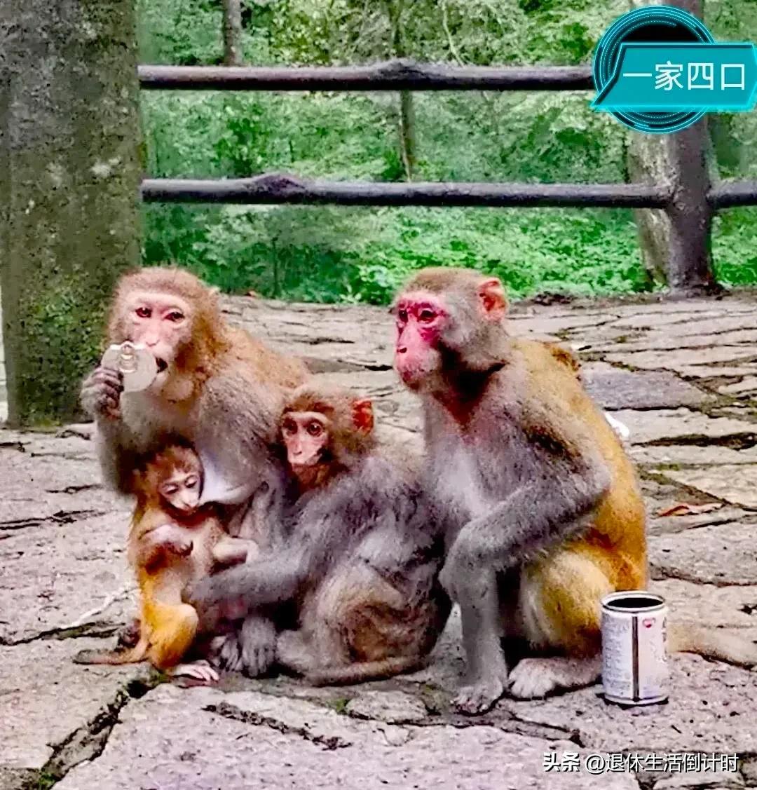 张家界旅游如何避免踩坑,张家界旅游购物坑