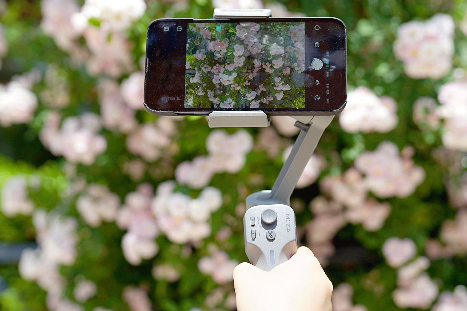 盘点大型真香,盘点大型真香现场