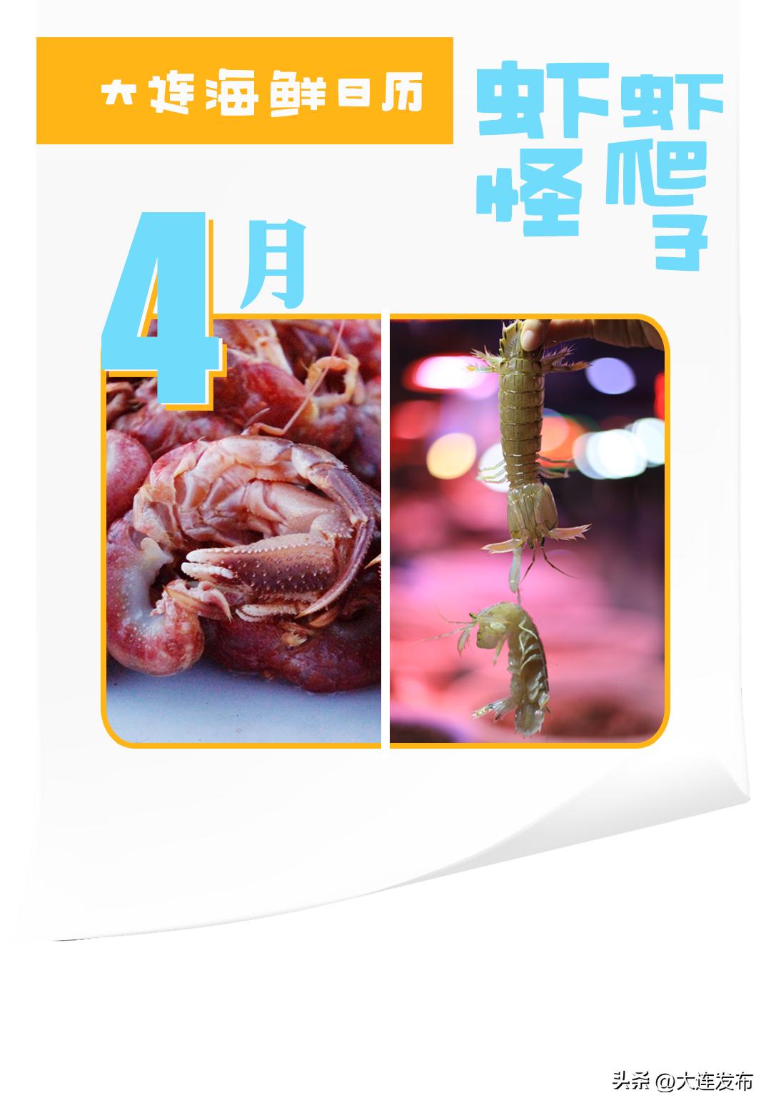 实现海鲜自由的秘诀,实现海鲜自由另一种说法