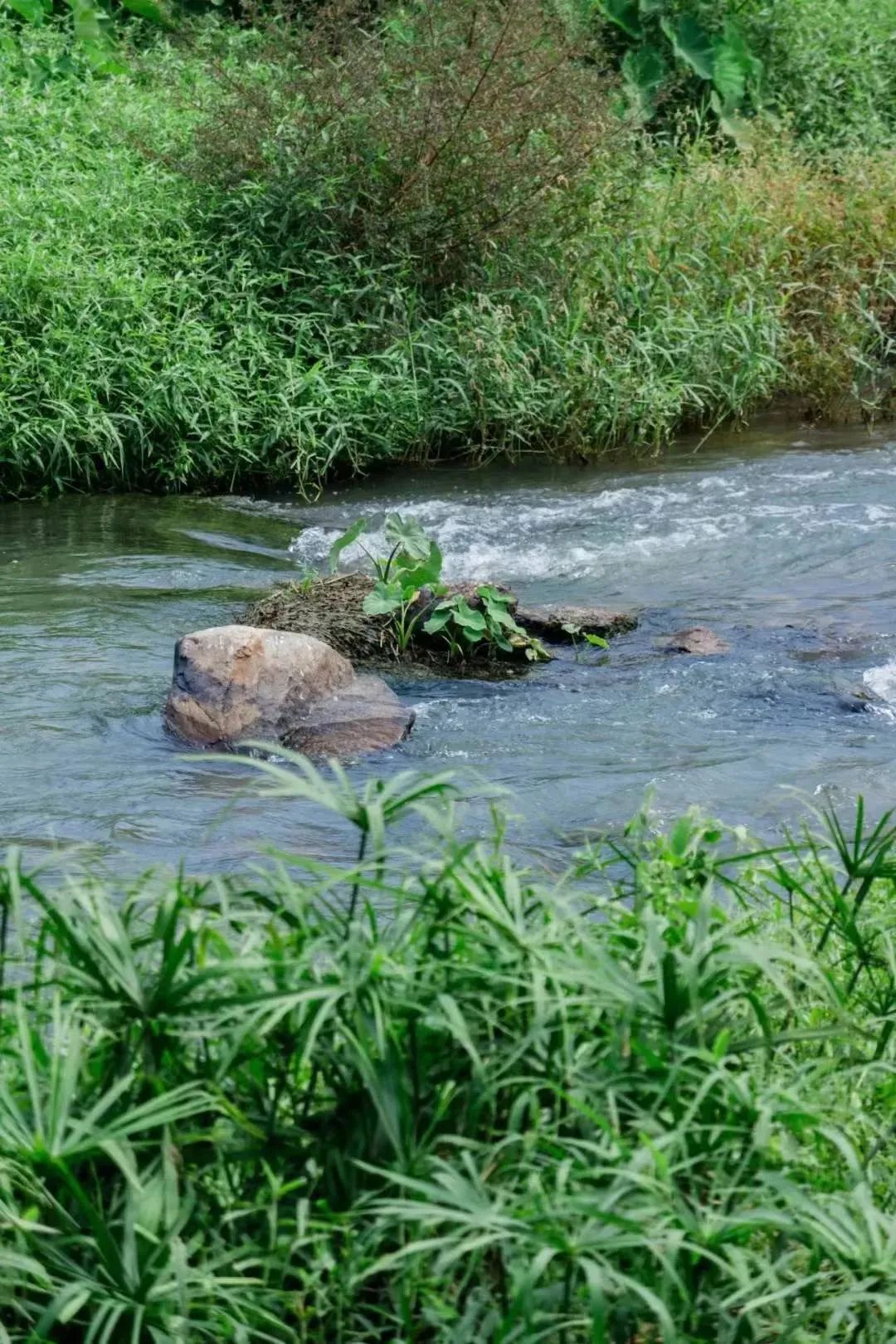 深圳有特色的旅游地,广东深圳特色风景