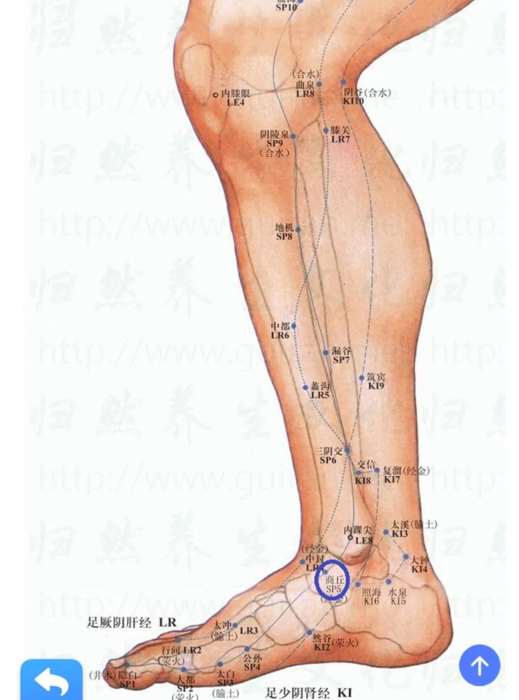 踝关节松驰一定会磨坏软骨吗,踝关节僵硬多久就锻炼不回来了