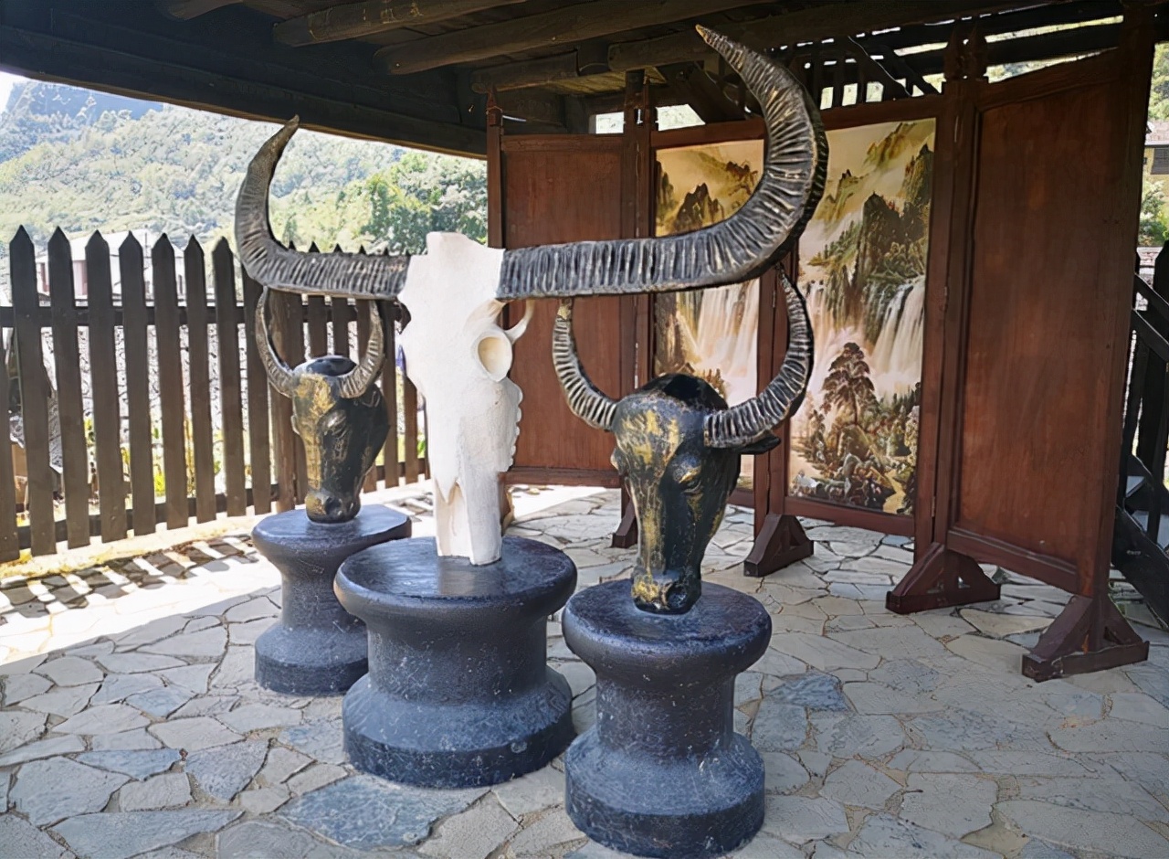 武隆仙女山和芙蓉洞哪个值得去,武隆仙女山一日游最佳景点