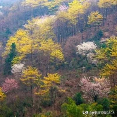 河南介绍简短100字,河南介绍300-500字