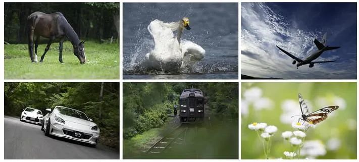 2023年数码相机新产品介绍,近几年数码相机发展