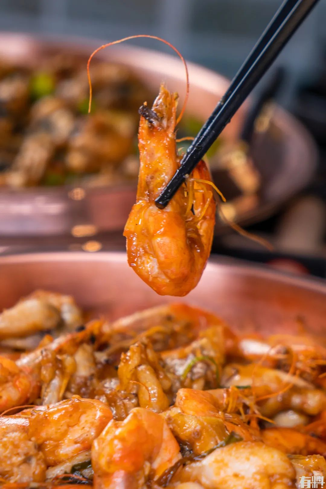 松山湖万象汇牛蛙团购,东莞牛蛙店