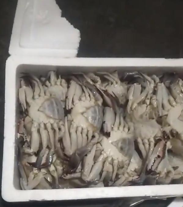 男子买螃蟹200元,大叔在路边买螃蟹70元一只