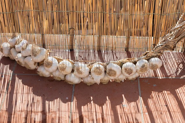 鍙伓閭诲眳,鍙伓閭诲眳缁撳眬