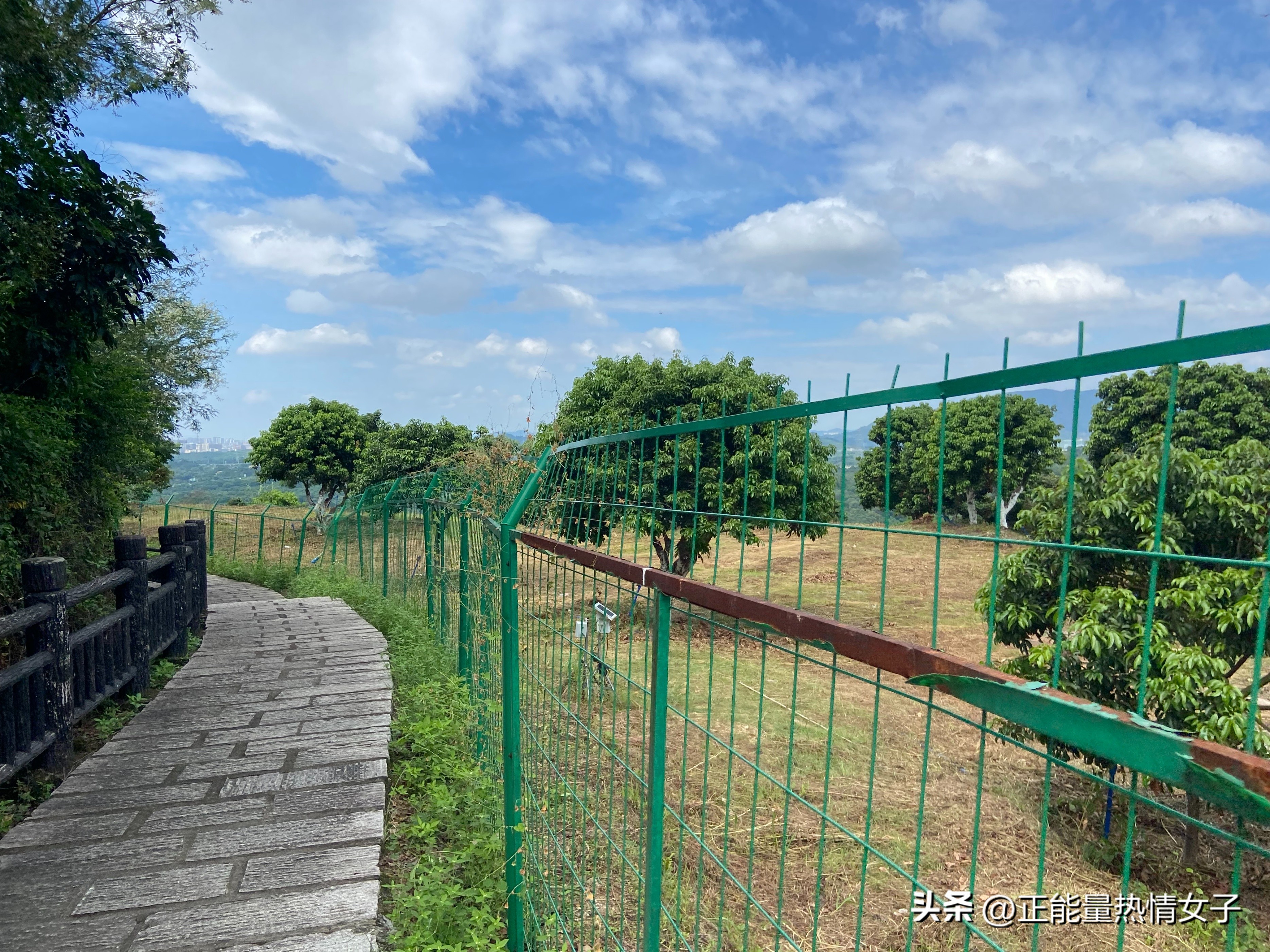 广州梅花岭森林公园,广州市白云区五峰山森林公园