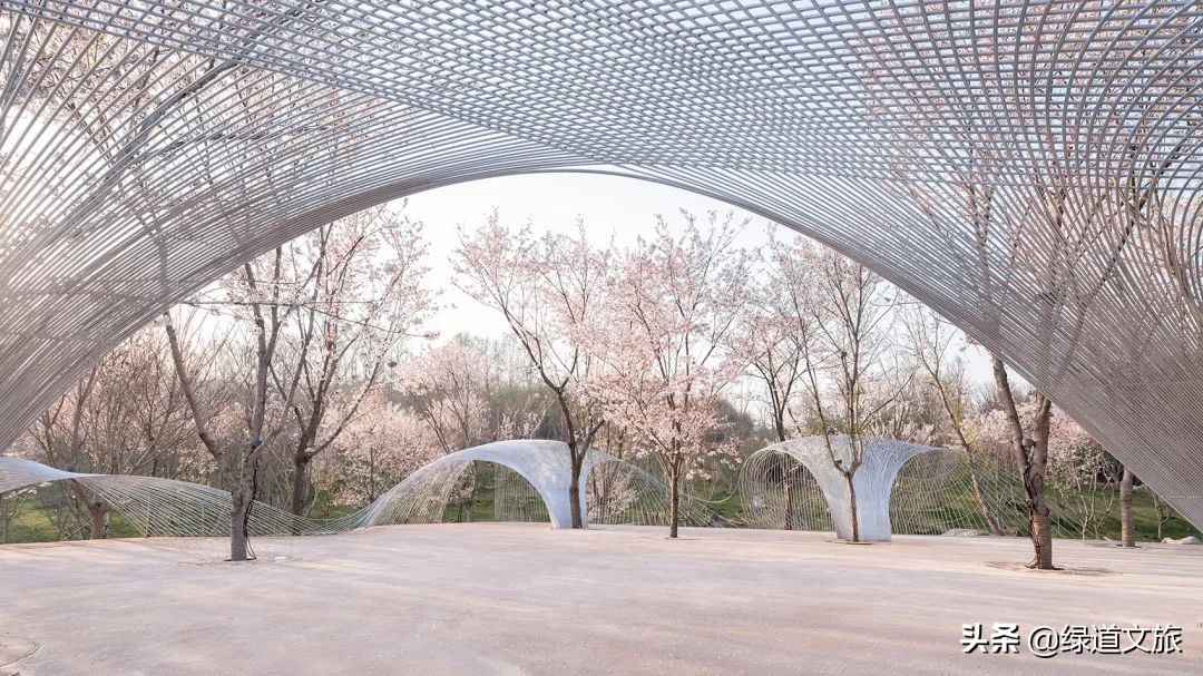 樱花树下的约定字体设计,樱花树下的约定完美国度