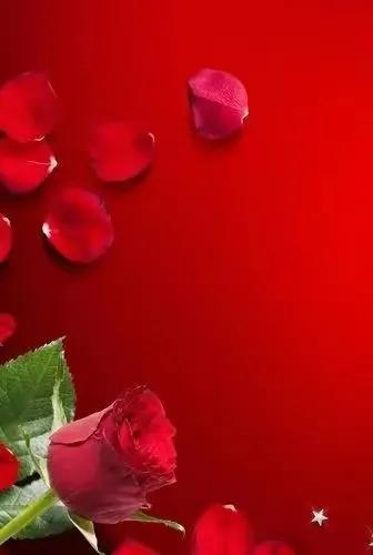 绝美竖屏高清红色喜庆的壁纸,蓝色流光溢彩壁纸高清全屏