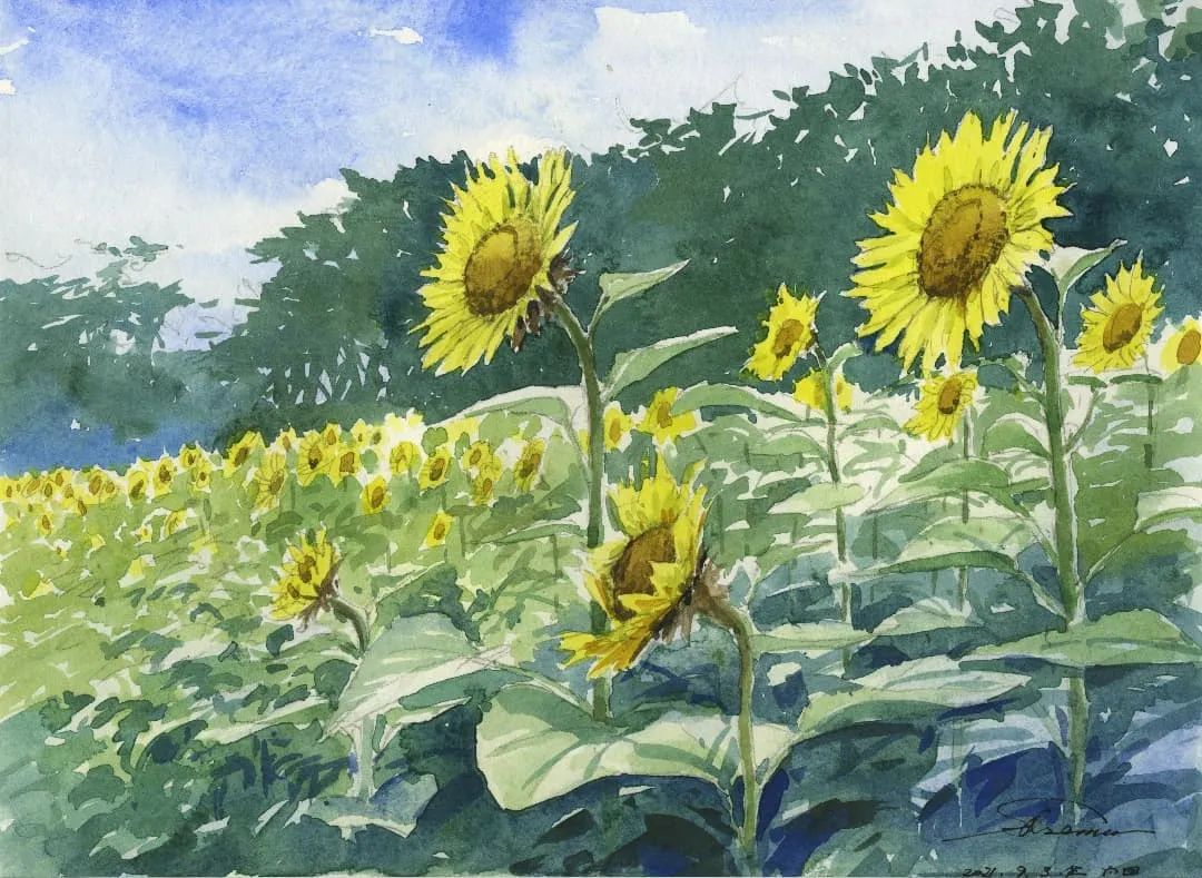 他放弃年薪千万的工作回乡创业,他放弃高薪工作选择回家创业